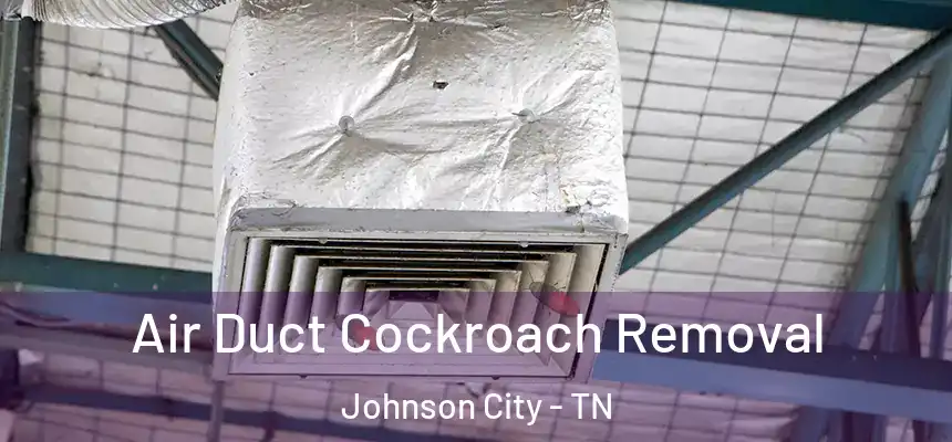  Air Duct Cockroach Removal Johnson City - TN