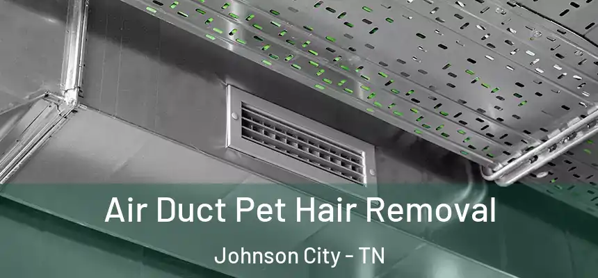  Air Duct Pet Hair Removal Johnson City - TN