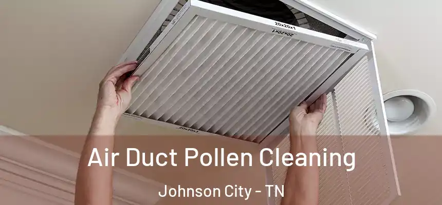  Air Duct Pollen Cleaning Johnson City - TN