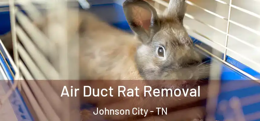 Air Duct Rat Removal Johnson City - TN
