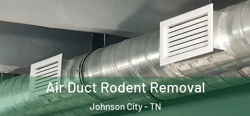 Air Duct Rodent Removal Johnson City - TN
