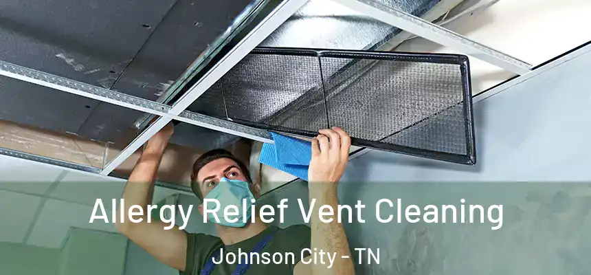  Allergy Relief Vent Cleaning Johnson City - TN