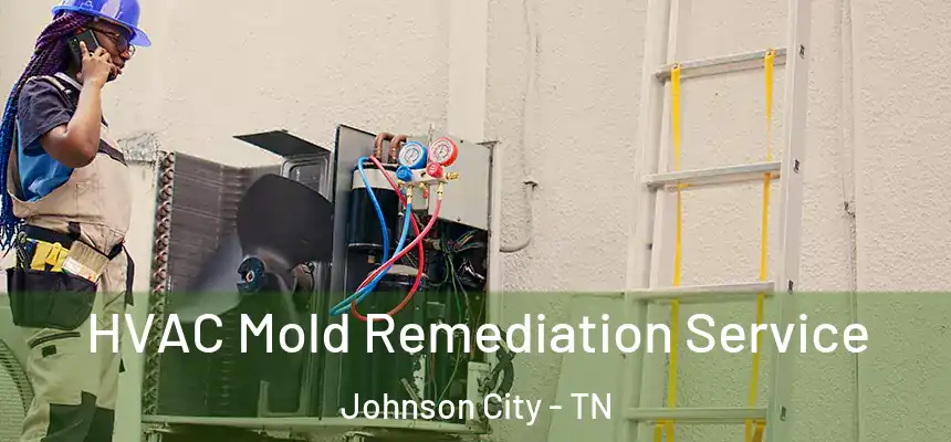  HVAC Mold Remediation Service Johnson City - TN