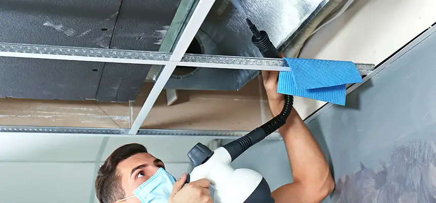 Our Air Duct Rodent Removal Services in Johnson City, TN