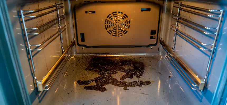 Our Dryer Vent Mold Cleaning Services in Johnson City, TN