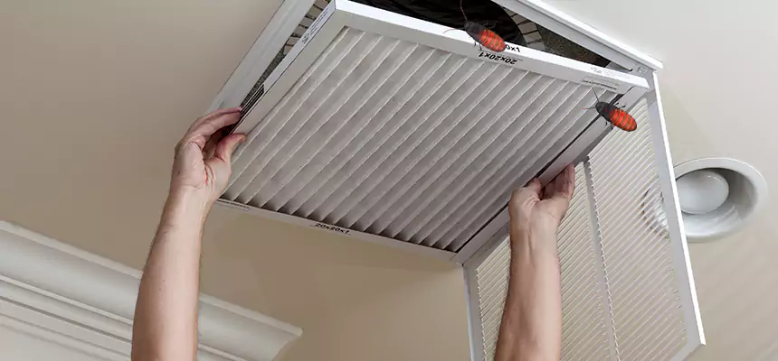 Our Insect Removal from Air Ducts Services in Johnson City, TN