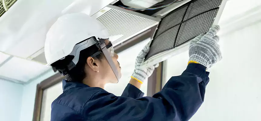 Our Mold & Mildew Removal from Air Ducts Services in Johnson City, TN