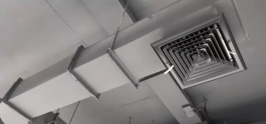 Our Pest Removal From Ducts Services in Johnson City, TN