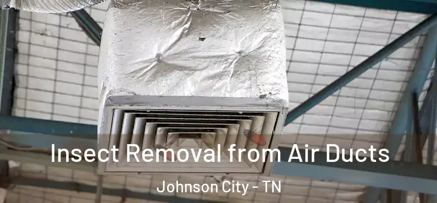  Insect Removal from Air Ducts Johnson City - TN