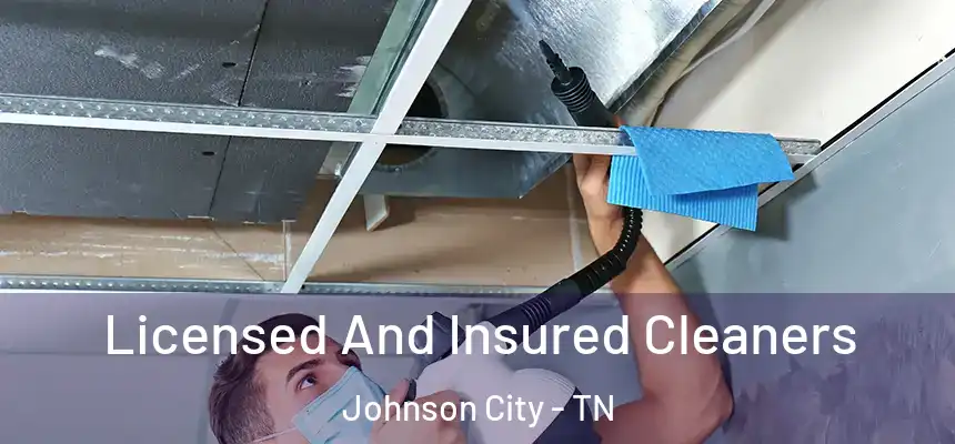  Licensed And Insured Cleaners Johnson City - TN