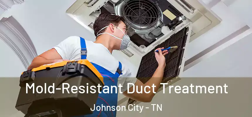  Mold-Resistant Duct Treatment Johnson City - TN