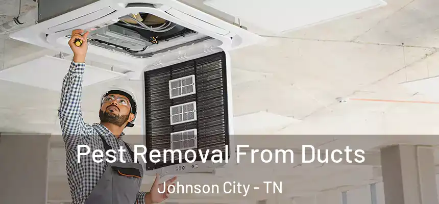  Pest Removal From Ducts Johnson City - TN