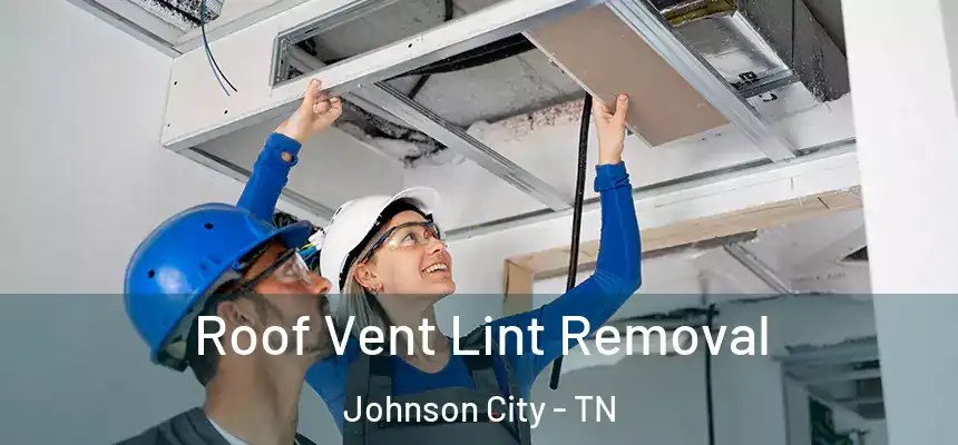 Roof Vent Lint Removal Johnson City - TN