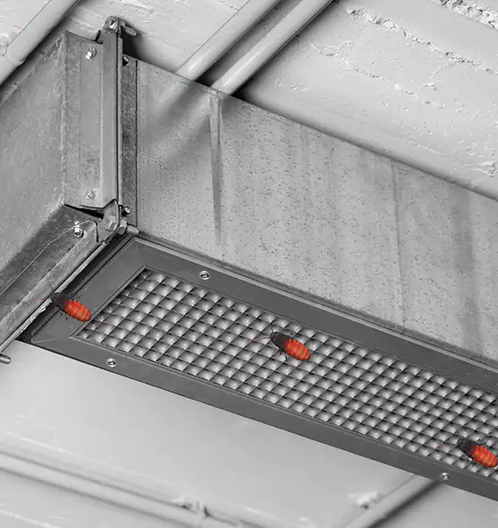About Air Duct Cockroach Removal in Johnson City, TN