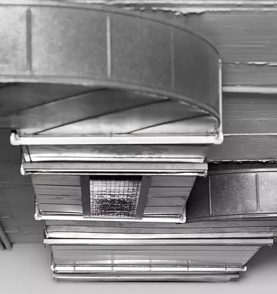 Professional Air Duct Pet Hair Removal in Johnson City, TN