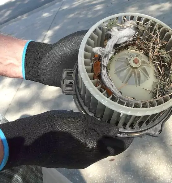 About Air Duct Rat Removal in Johnson City, TN