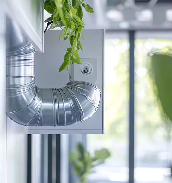 Professional Eco-Safe Dryer Vent Cleaning in Johnson City, TN