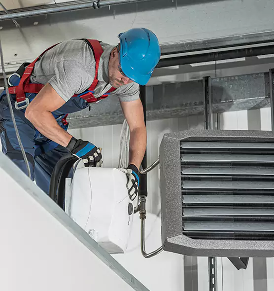 About HVAC Mold Remediation Service in Johnson City, TN