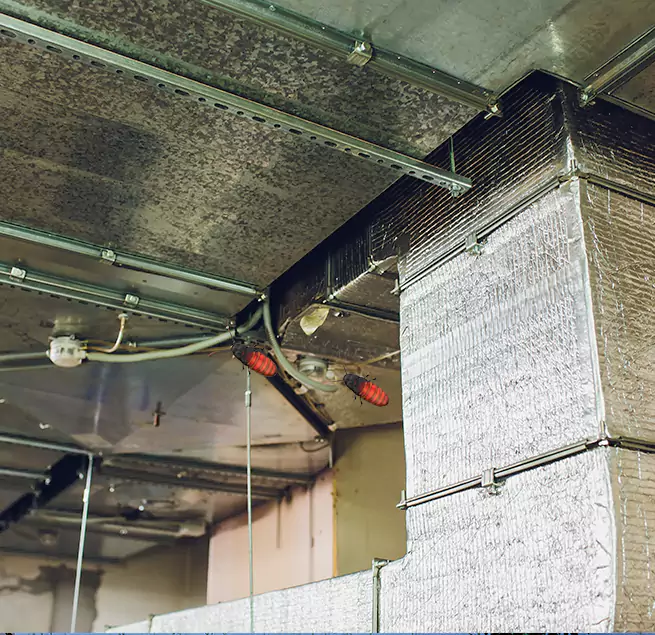 Why Homeowners & Businesses Trust Us in Johnson City, TN?