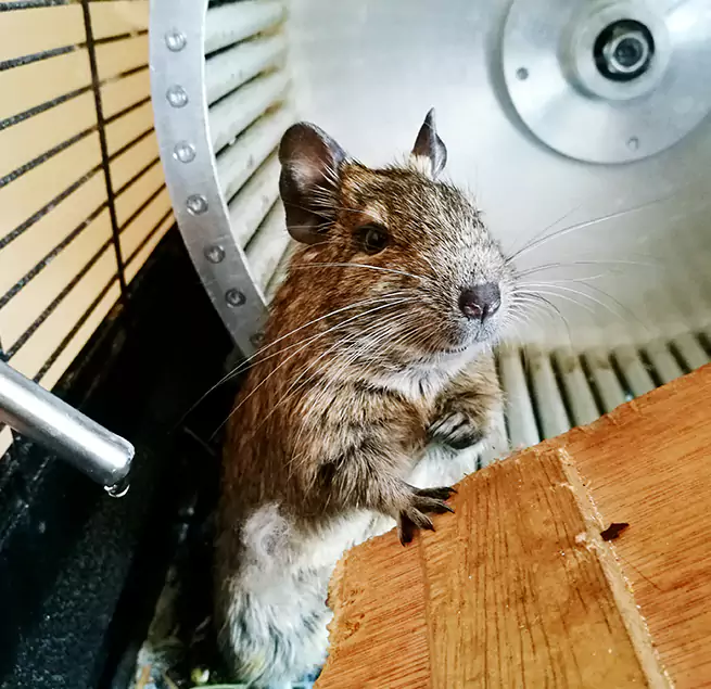 Why Homeowners & Businesses Trust Us Johnson City, TN?