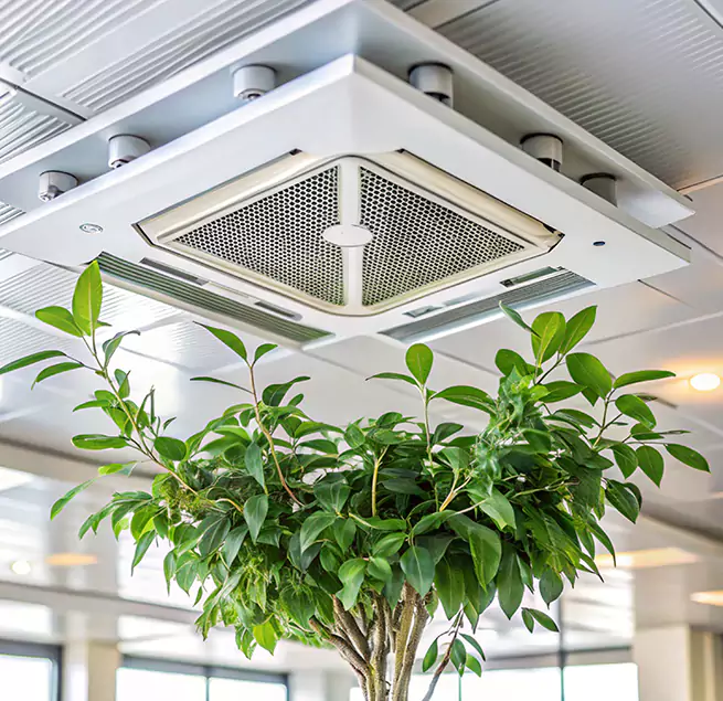 Why Homeowners & Businesses Trust Us in Johnson City, TN