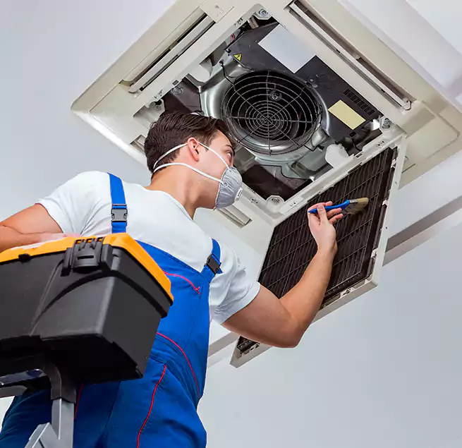 Why Homeowners & Businesses Trust Us in Johnson City, TN?