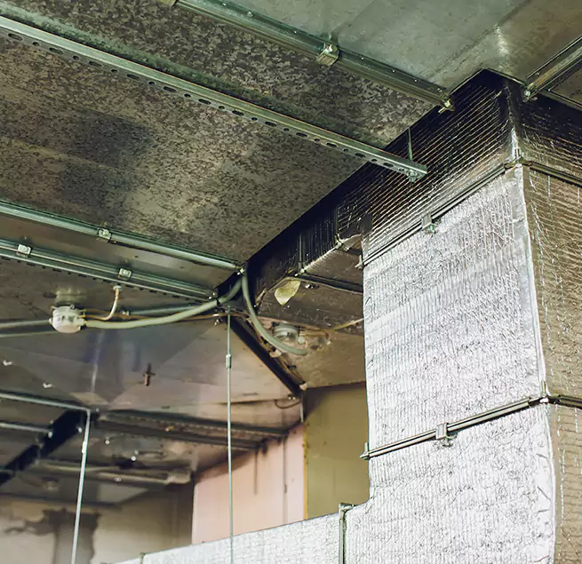 Why Homeowners & Businesses Trust Us in Johnson City, TN?