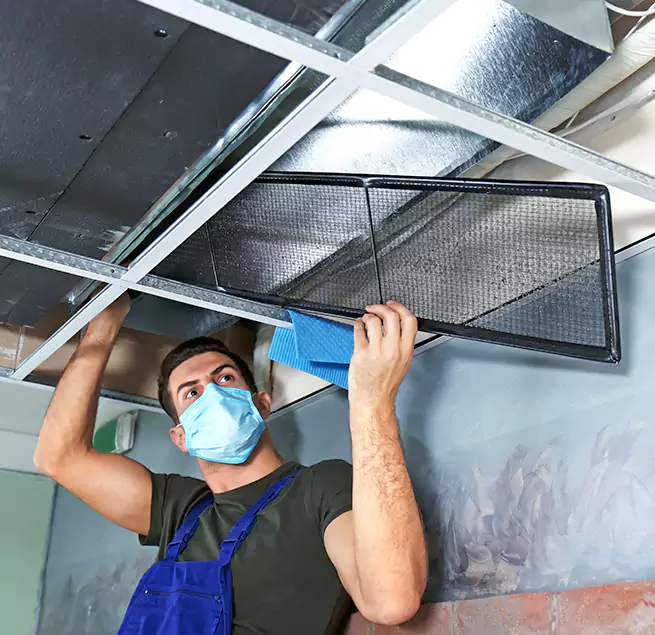 Why Homeowners & Businesses Trust Us in Johnson City, TN?